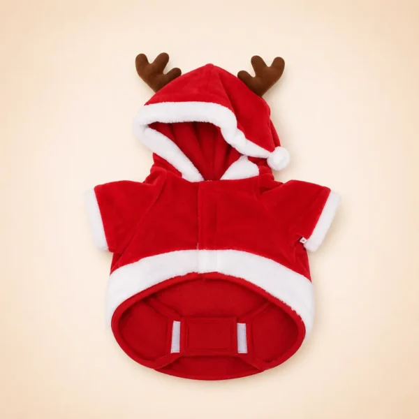 Déguisement chien Noel