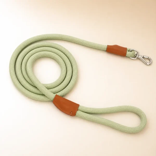 Laisse education chien