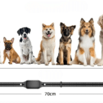 Capture d’écran 2024-06-18 à 11.19.30_cleanup