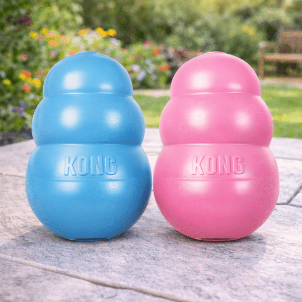 Jouet kong pour chien destructeur