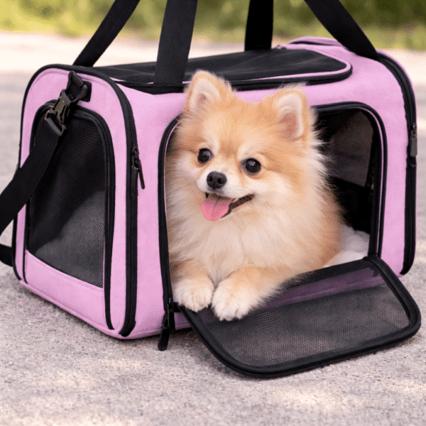 Sac de transport pour spitz
