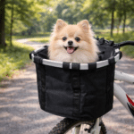 ChatGPT Image 9 févr. 2026, 17_49_55