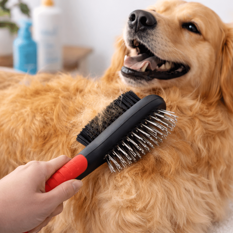 ChatGPT Image 9 mars 2026, 21_41_31