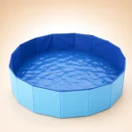 Piscine pour chien