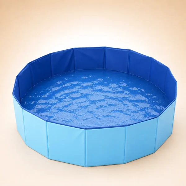 Piscine pour chien