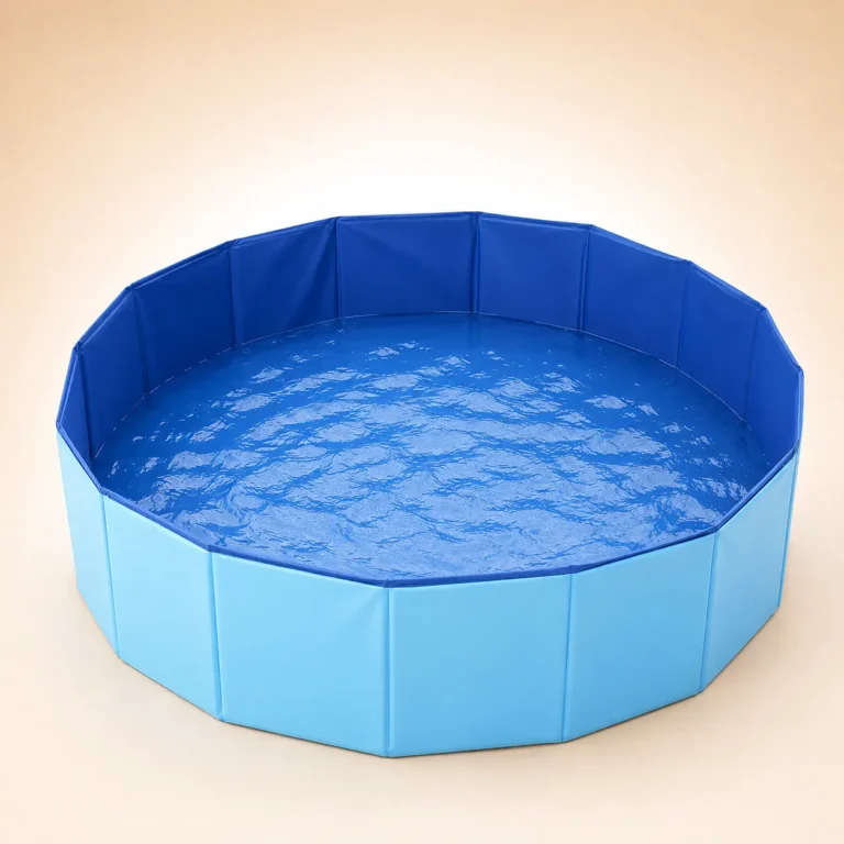 Piscine pour chien