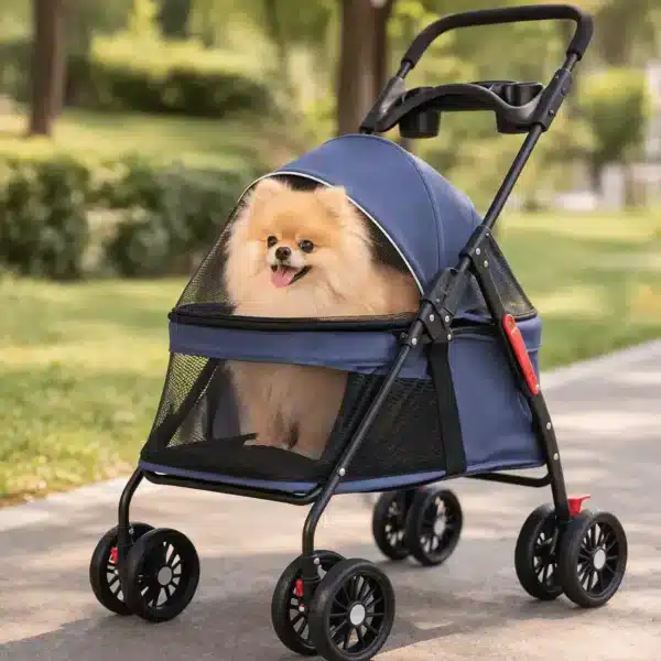 Poussette spitz nain