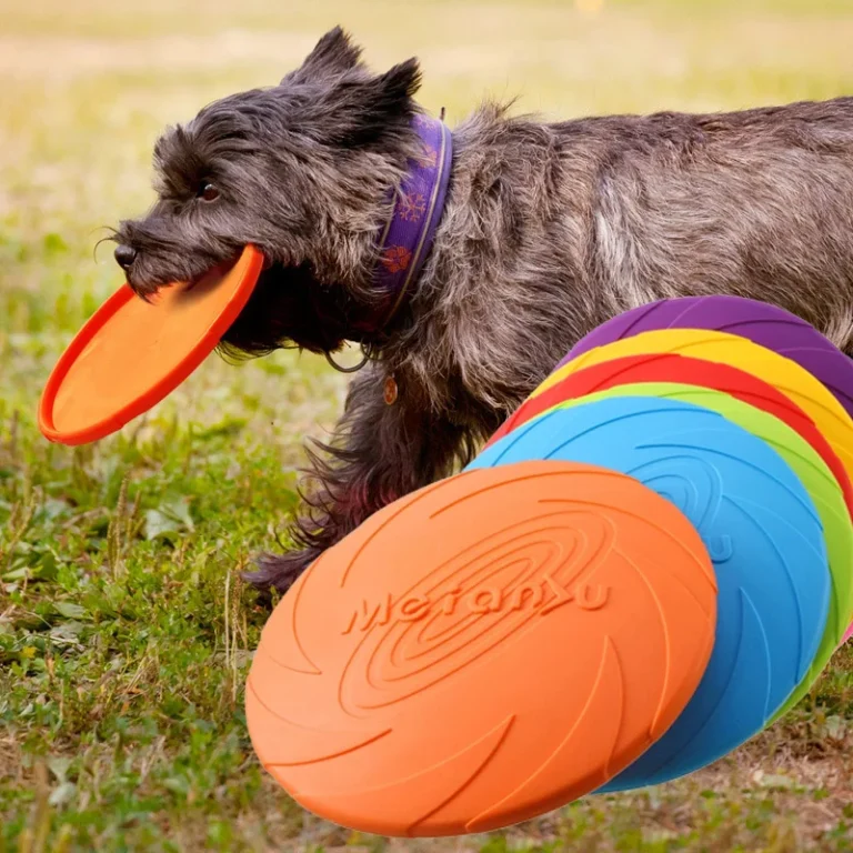 Frisbee pour chien indestructible 1