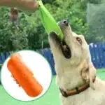 Frisbee pour chien indestructible 2