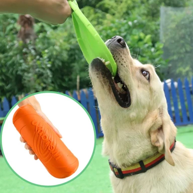 Frisbee pour chien indestructible 2