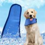 1953565332-700x700_cleanup