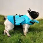Gilet de protection pour chien femelle 25