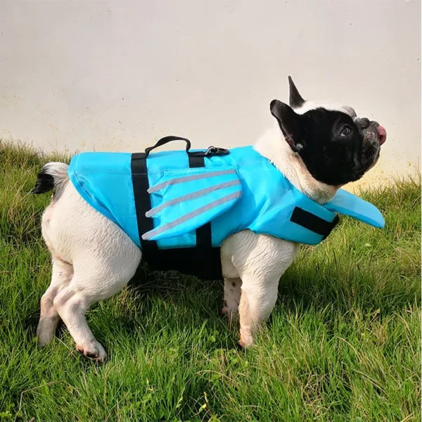 Gilet de protection pour chien femelle 25