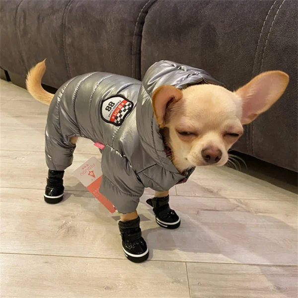 Chausson de neige pour chien 20