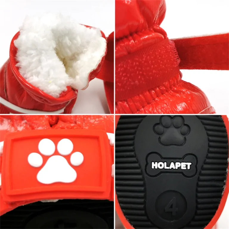 Chausson de neige pour chien 2