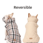 548539538-476x700_cleanup