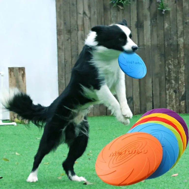 Frisbee pour chien indestructible 3