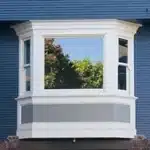 Film protection baie vitrée chien 8