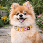 ChatGPT Image 16 févr. 2026, 11_35_27