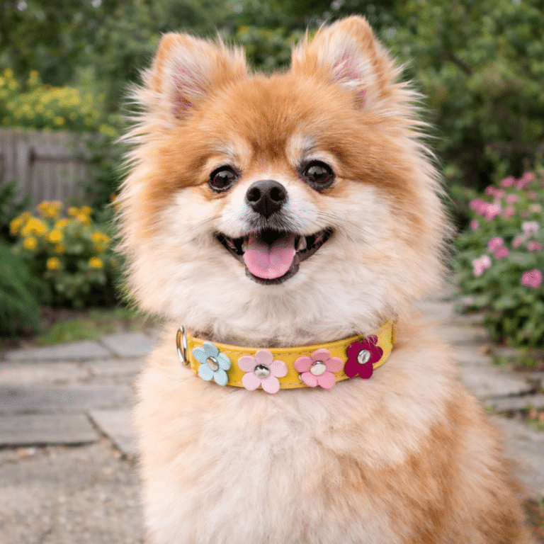 ChatGPT Image 16 févr. 2026, 11_35_27