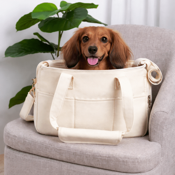 Sac de transport teckel