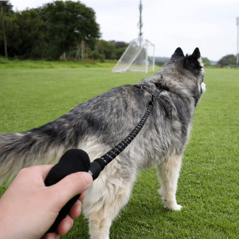 ChatGPT Image 31 janv. 2026, 23_33_29