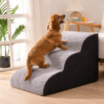 ChatGPT Image 8 mars 2026, 12_34_48