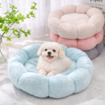 ChatGPT Image 8 mars 2026, 12_37_00