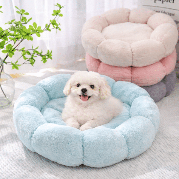 Panier chien confortable