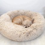 ChatGPT Image 8 mars 2026, 16_43_09