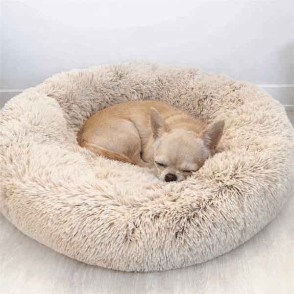 Panier pour petit chien chihuahua