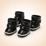 Chausson de neige pour chien