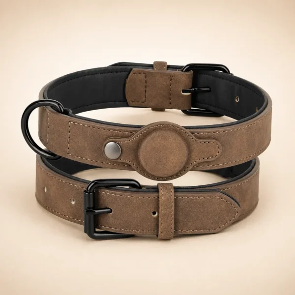 Collier de reperage chien d'arret