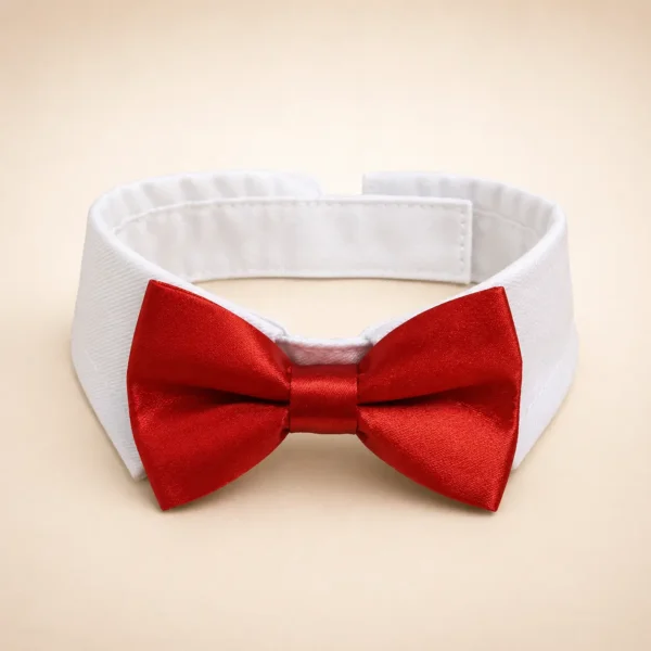 Noeuds papillon pour chien