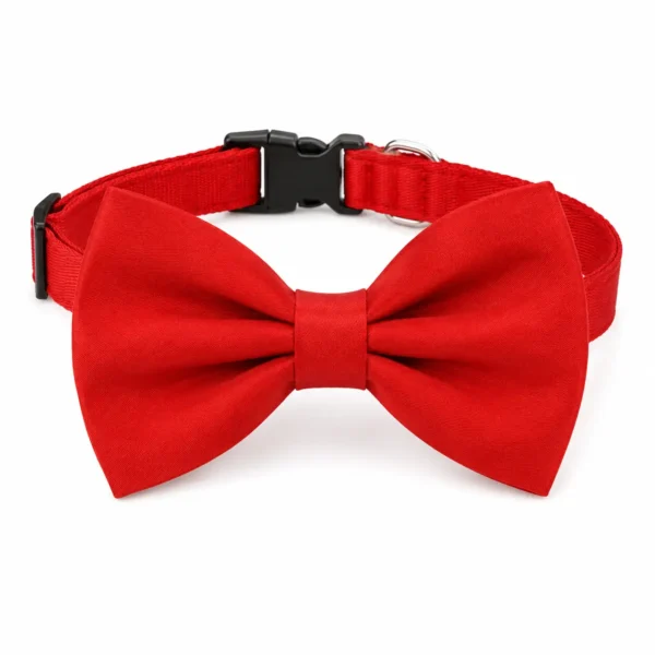 Noeud papillon pour chihuahua