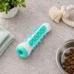 Os pour nettoyer dent chien
