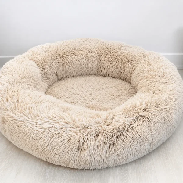 Panier pour petit chien chihuahua