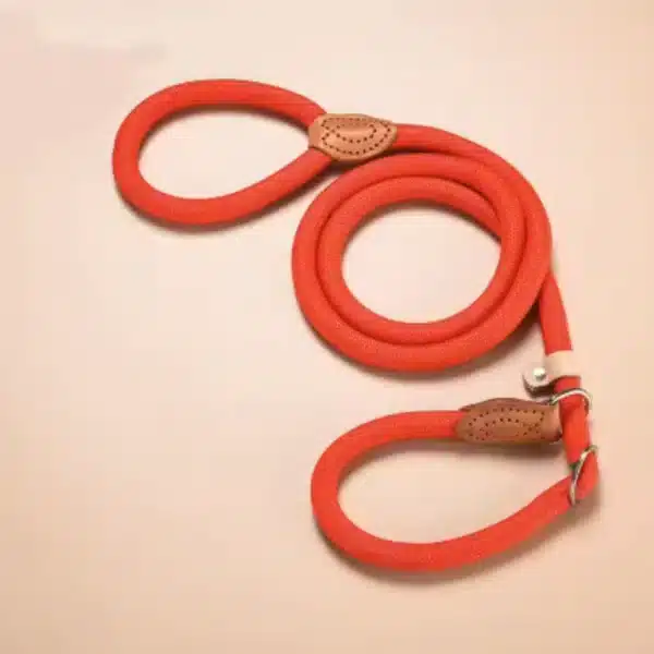 Lasso pour chien