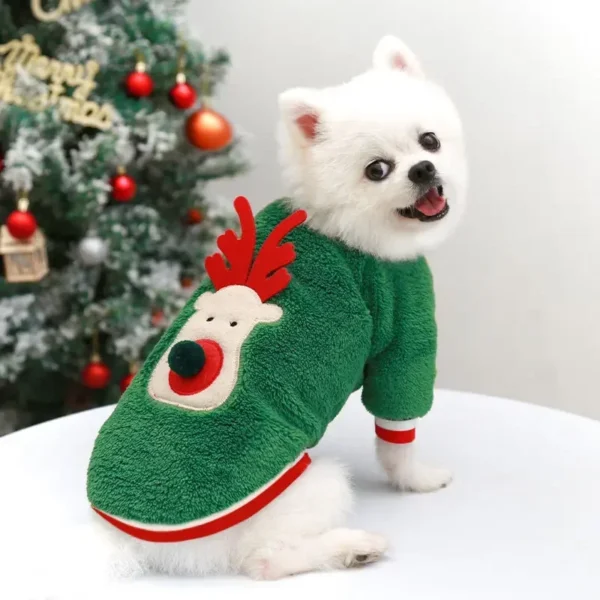 Pull de noel pour chihuahua