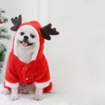 1414548136-700x700_cleanup (1)