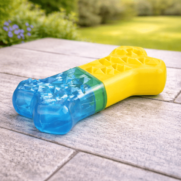 Jouet rafraichissant pour chien