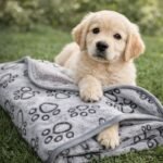 ChatGPT Image 26 janv. 2026, 22_07_29