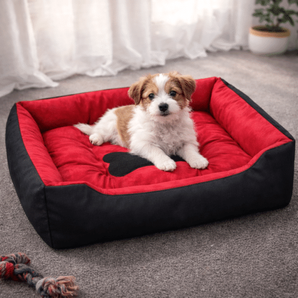 Couchage chien indestructible