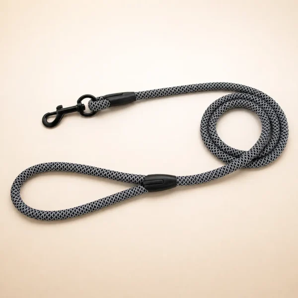 Collier pour chien en paracorde