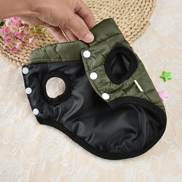 Manteau de neige pour chien vert 4