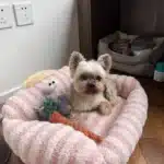 Canapé lit relaxant pour chien 45