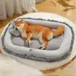 Panier orthopédique pour chien 7