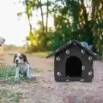 Niche pour chien anti pluie 4