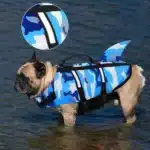 Gilet de nage pour chien 2