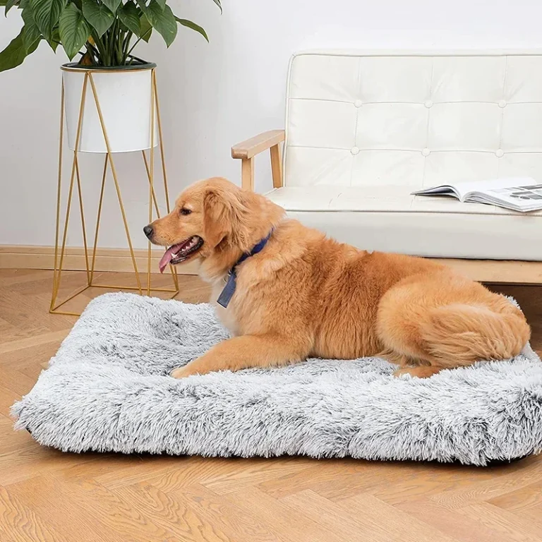 Tapis pour chien déhoussable 3